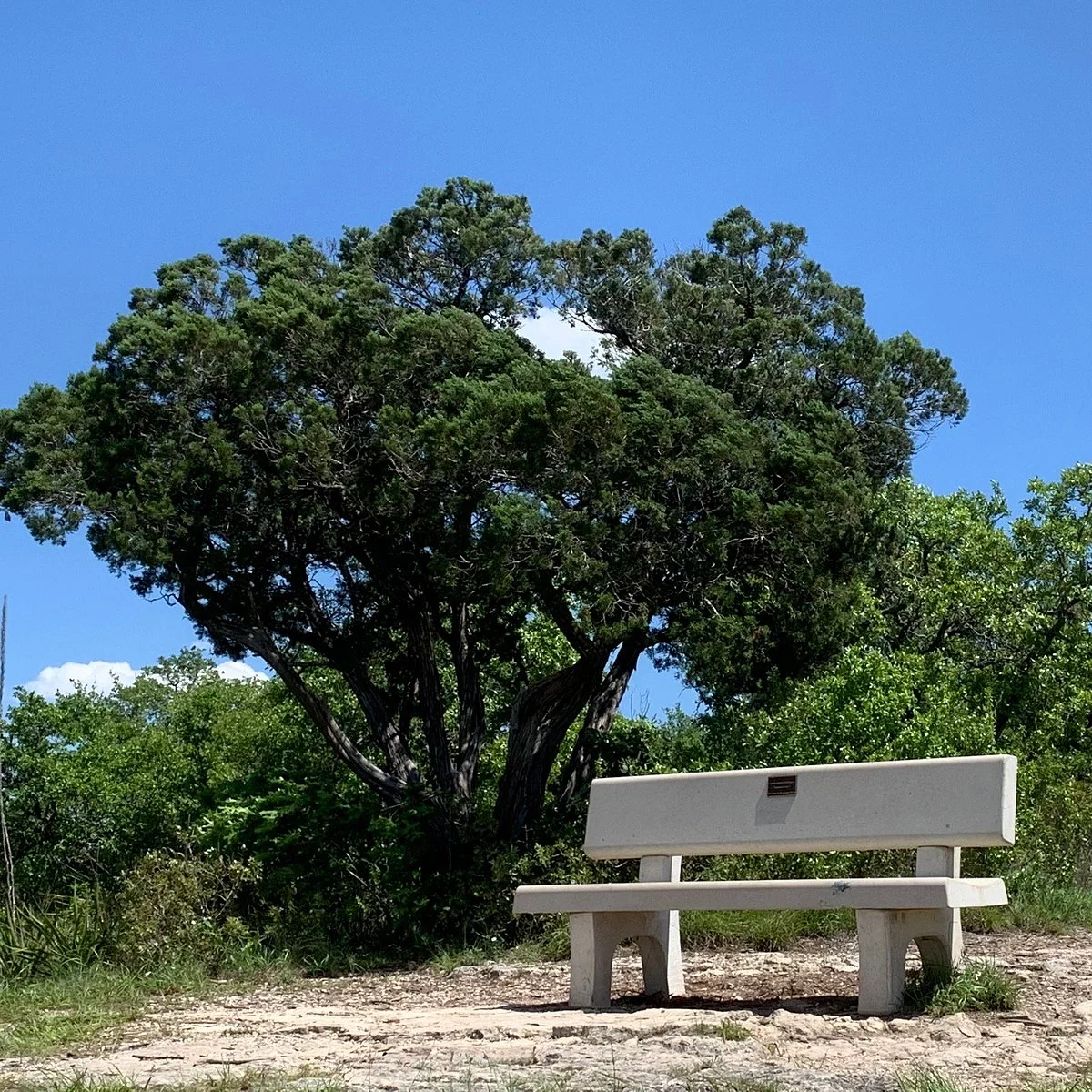 Senator Frank L. Madla Natural Area