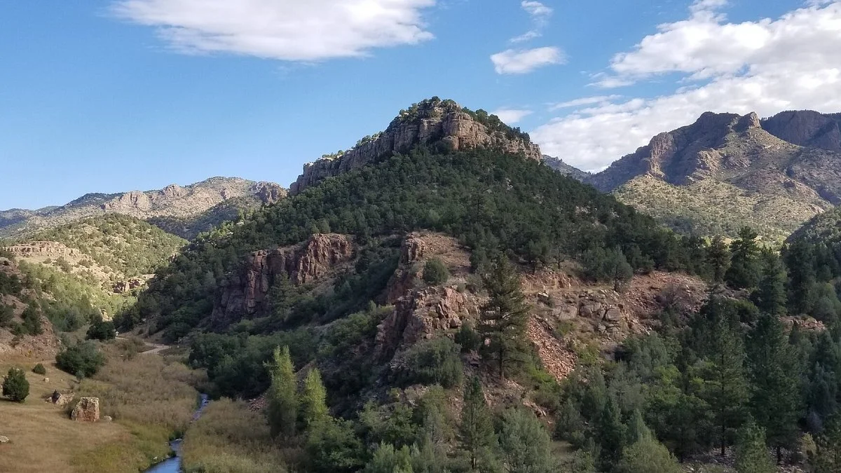 Shelf Road