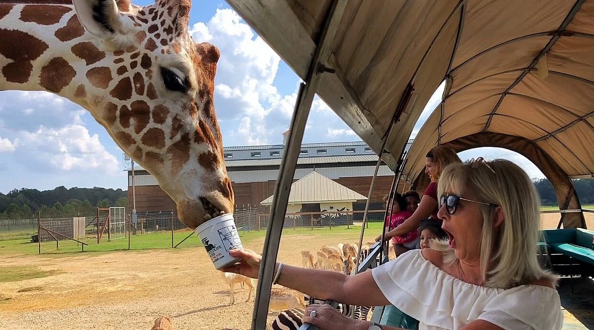 Global Wildlife Center