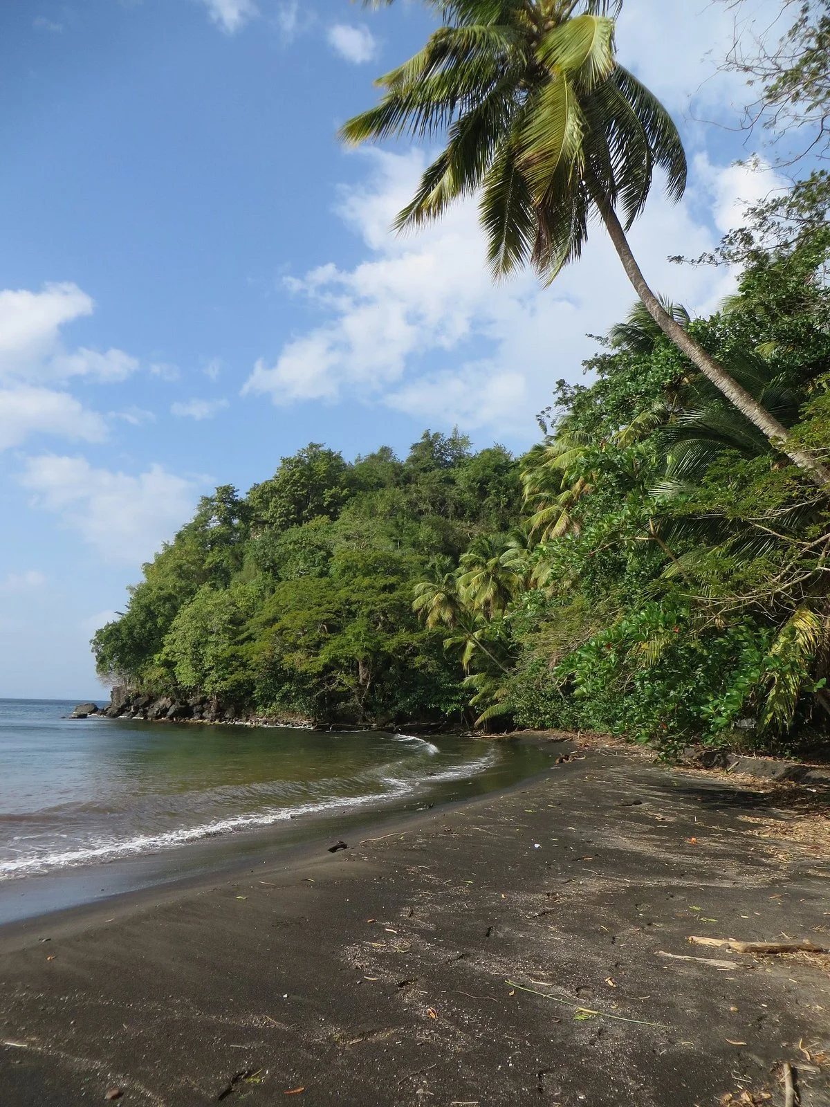 Black Bay Beach