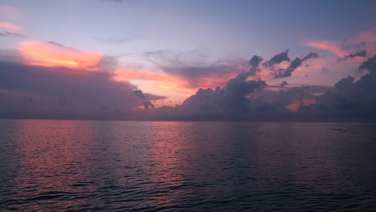 Paradise (Paraiso) Reef