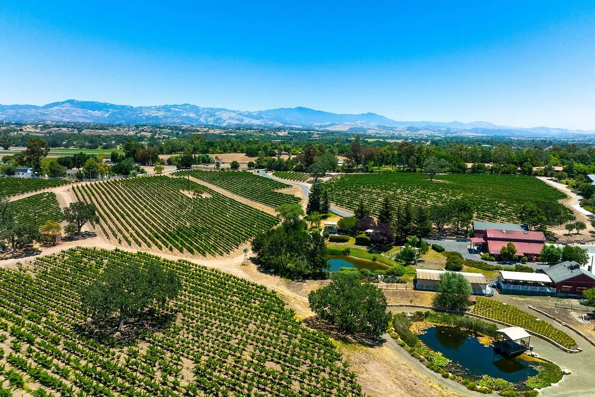 Beckmen Vineyards