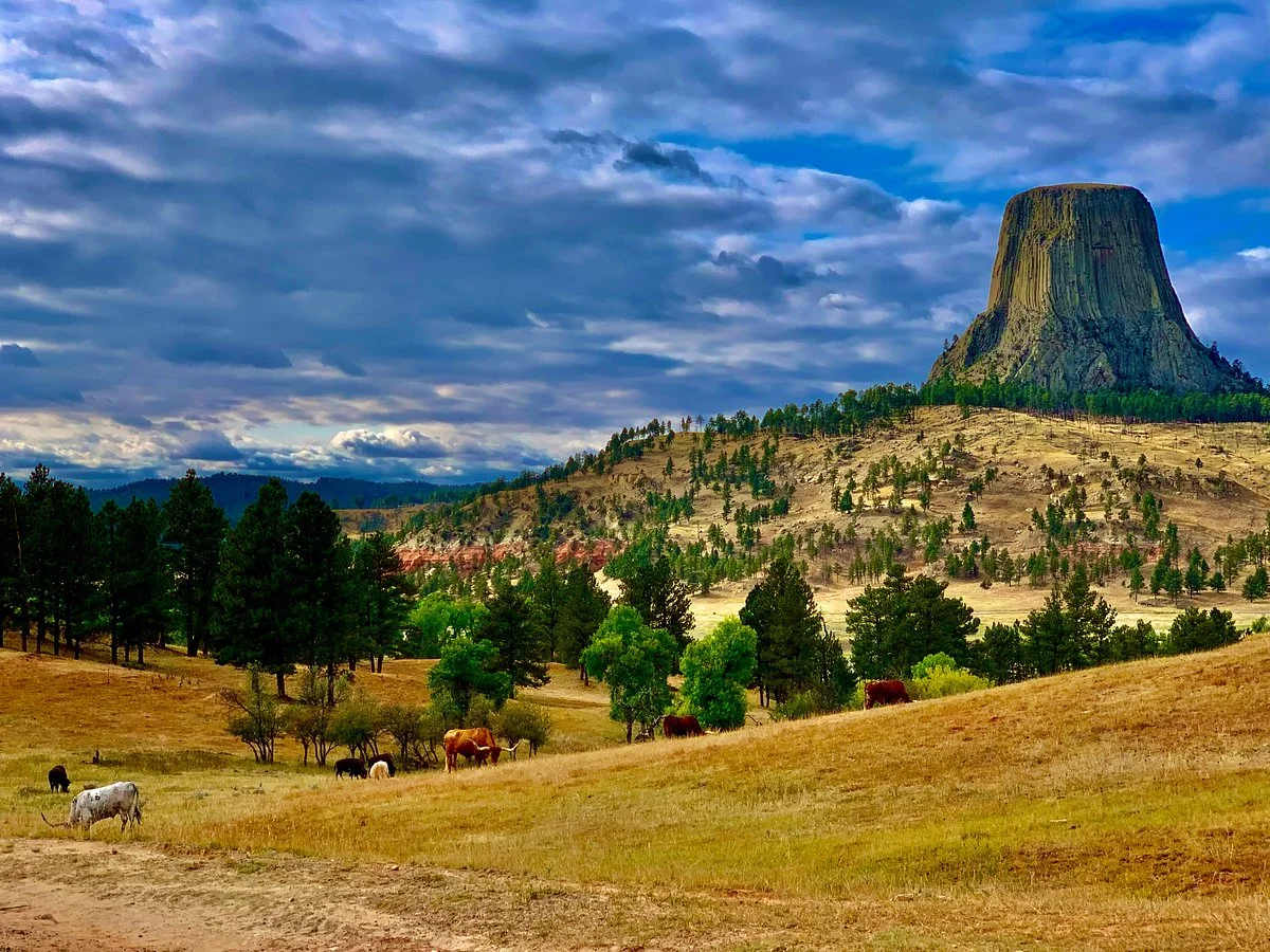 Devil's Tower National Monument Visitor Center
