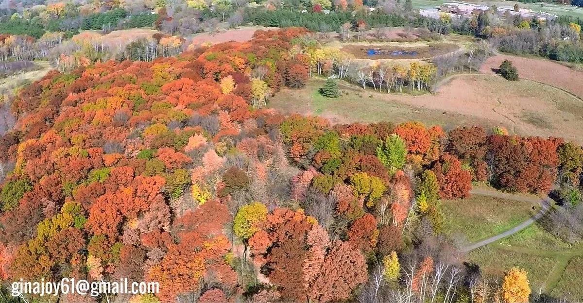 Tamarack Nature Center