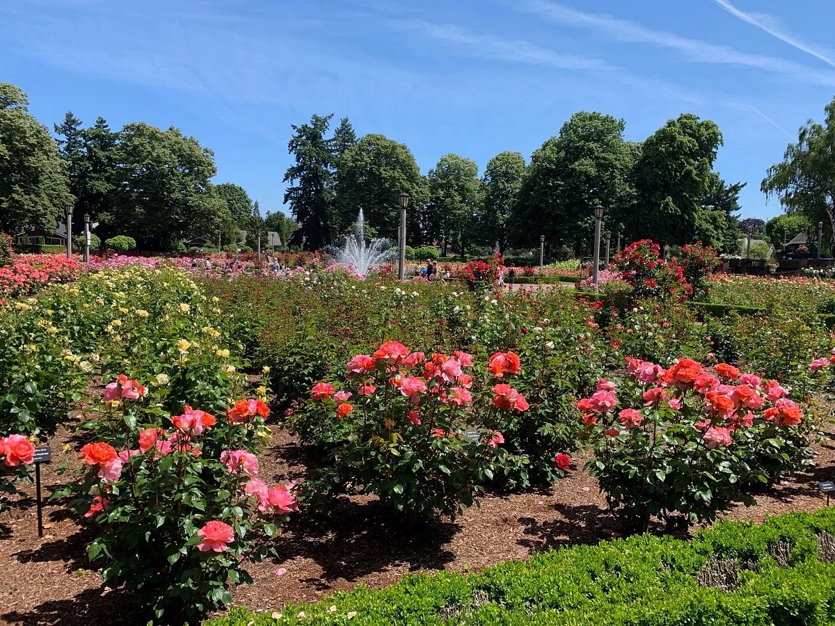 Peninsula Park and Rose Gardens