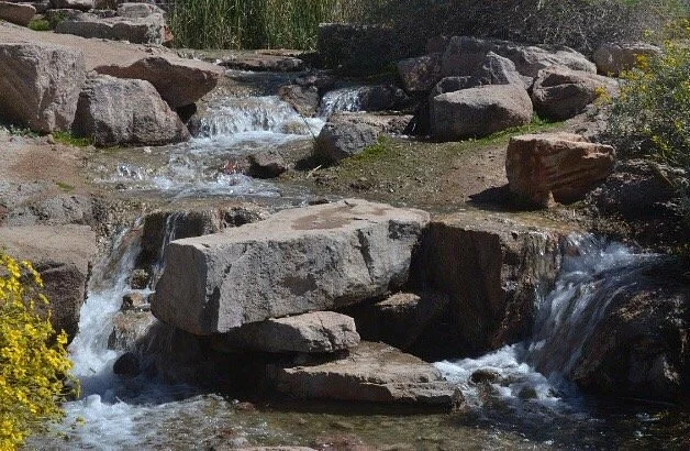 Chandler Nature Center