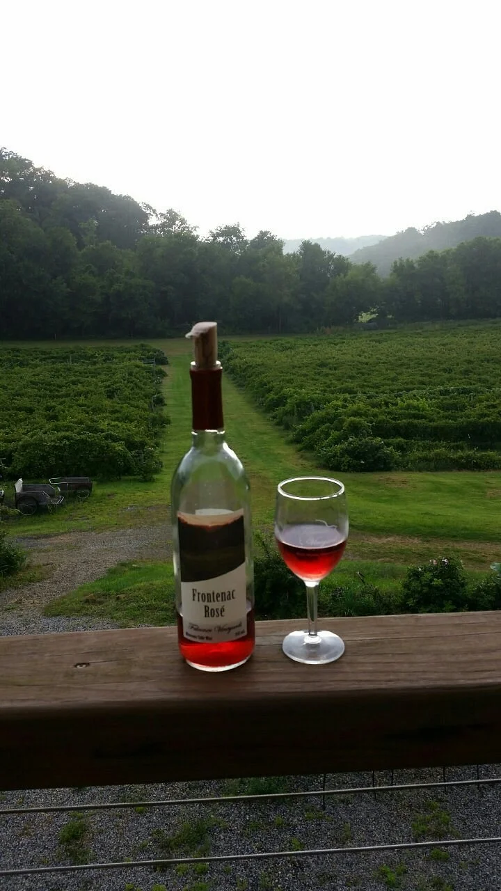 Falconer Vineyards