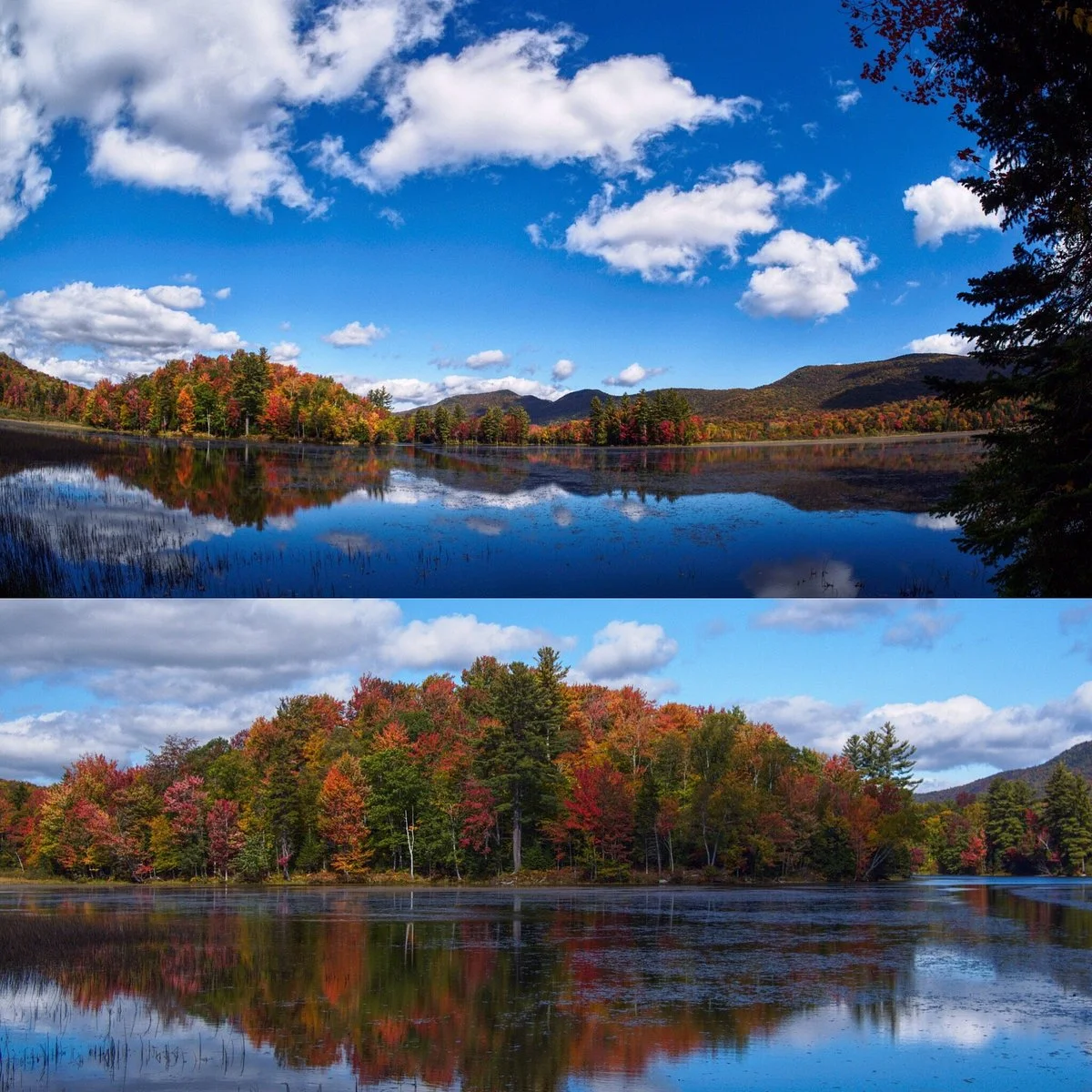 Leffert's Pond