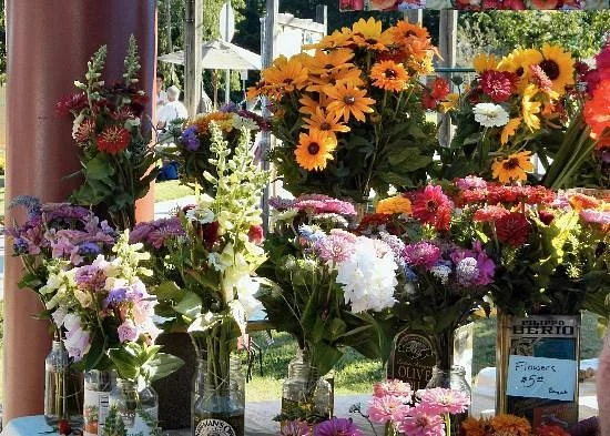 Carrboro Farmers Market