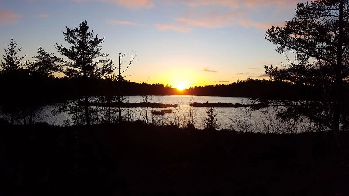Kivi Park