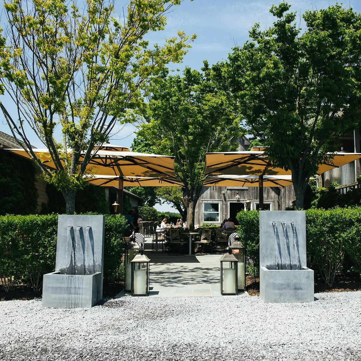 Rose Hill Vineyards