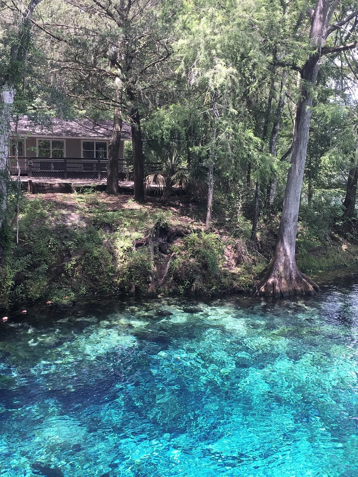 Fanning Springs State Park