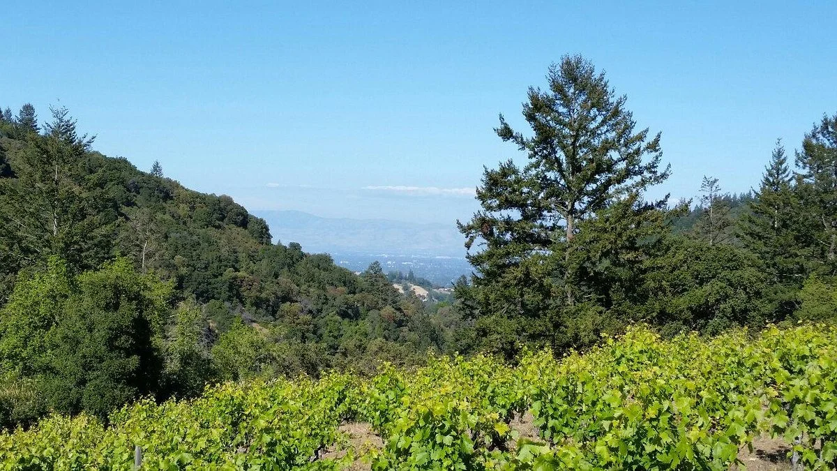 Savannah Chanelle Winery