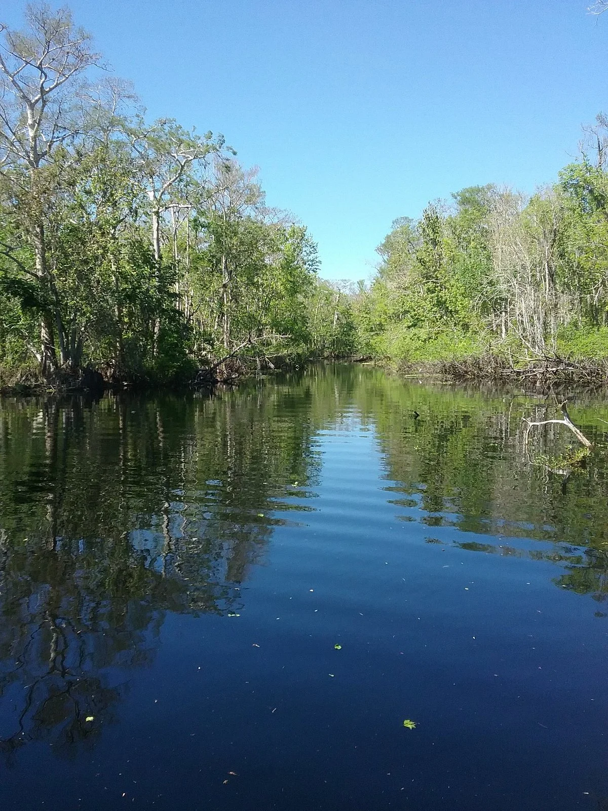 Osceola Schools Environmental Study Center