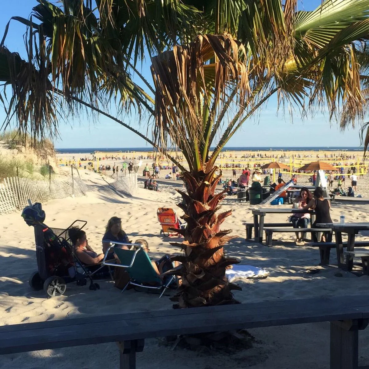 Cedar Beach