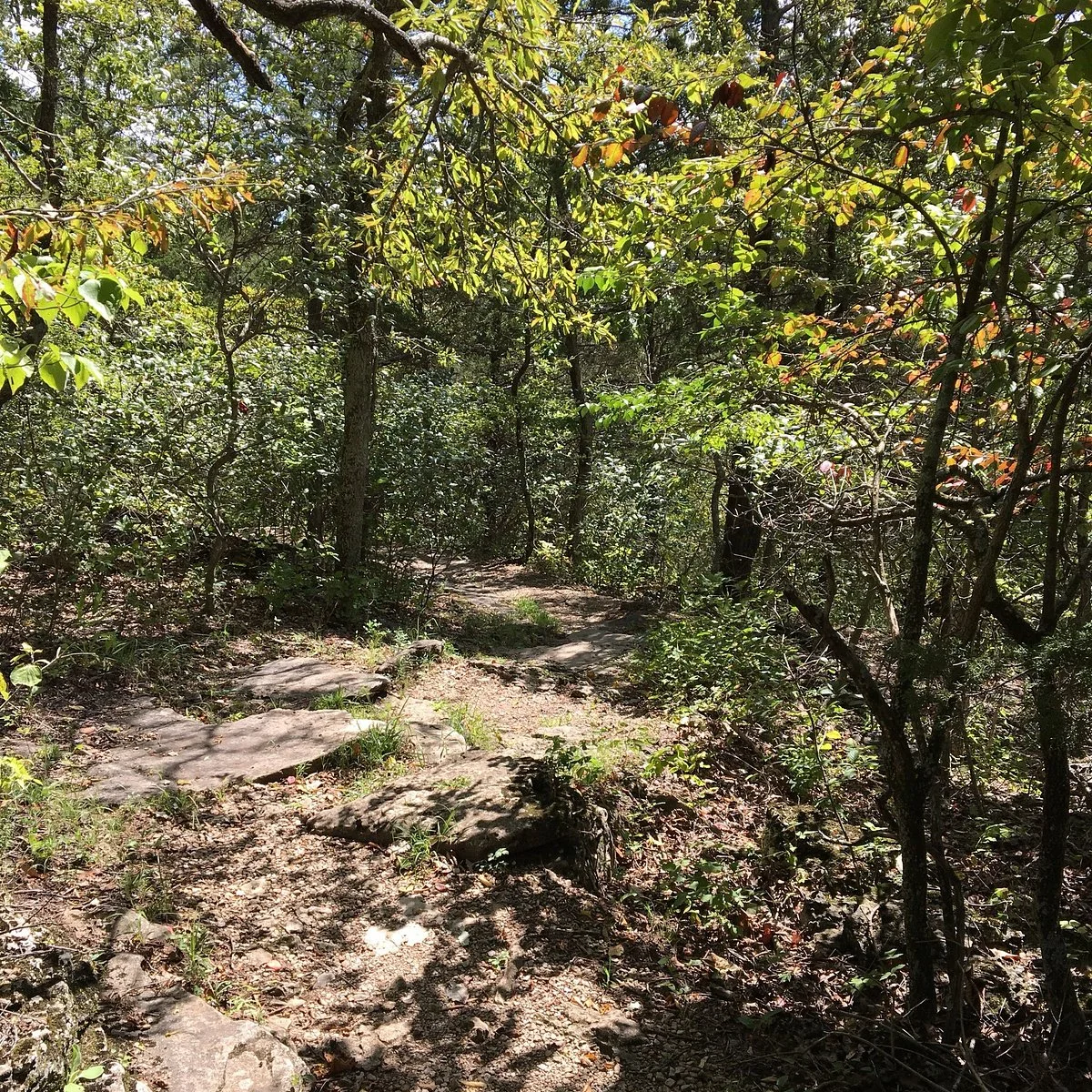 Rockwoods Reservation