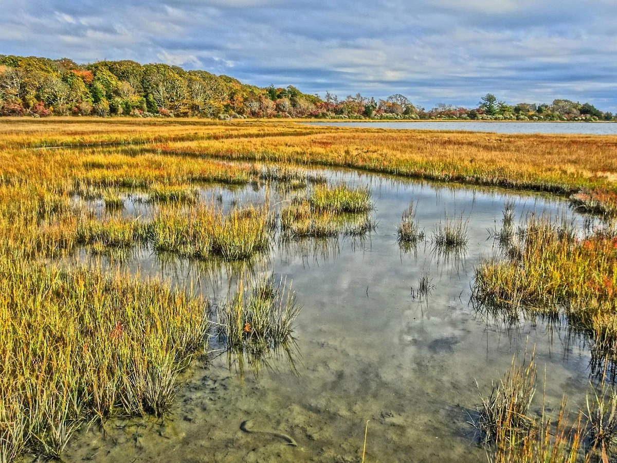Allens Pond Wildlife Sanctuary