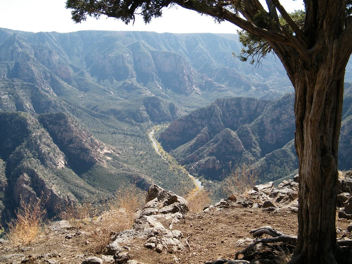 Sycamore Canyon