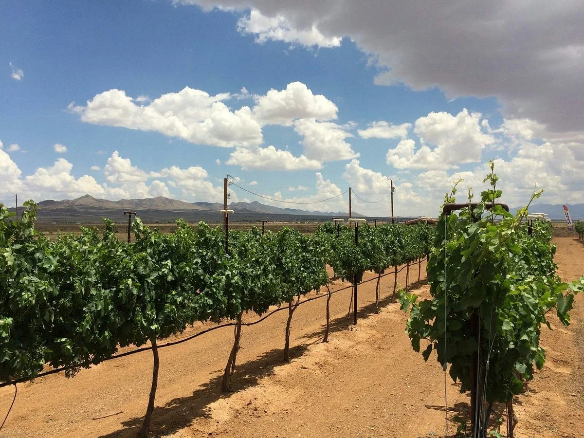 Stetson Winery
