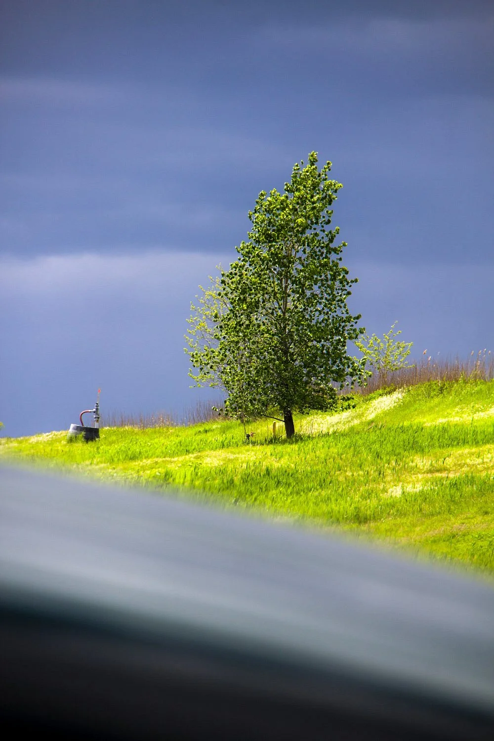 Freshkills Park