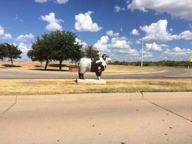 Goodfellow AFB