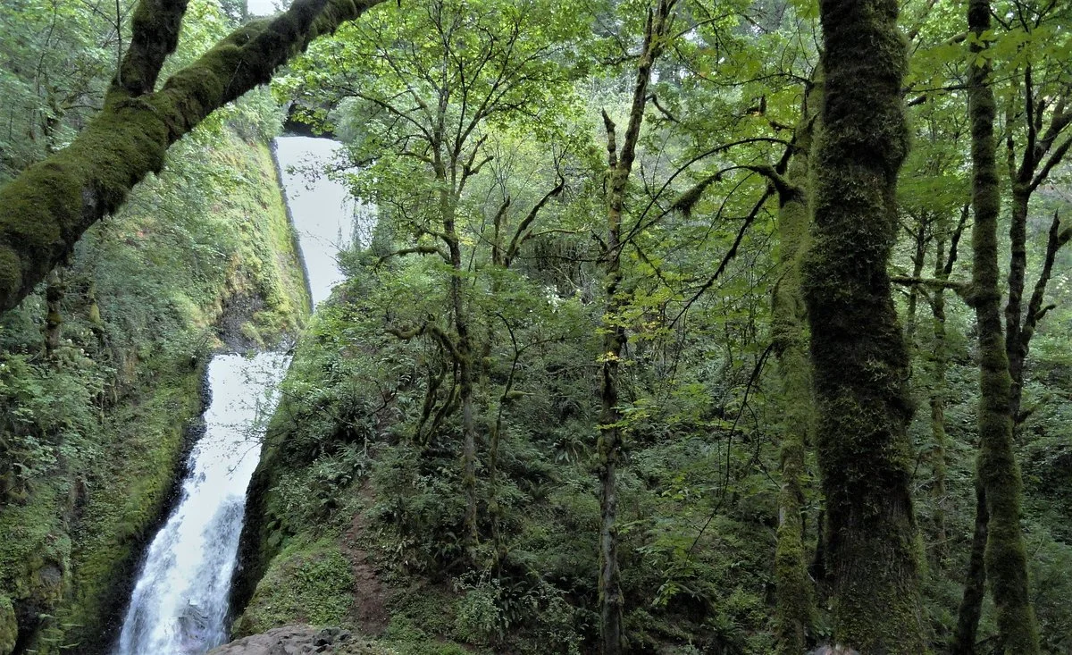Bridal Veil Falls State Park