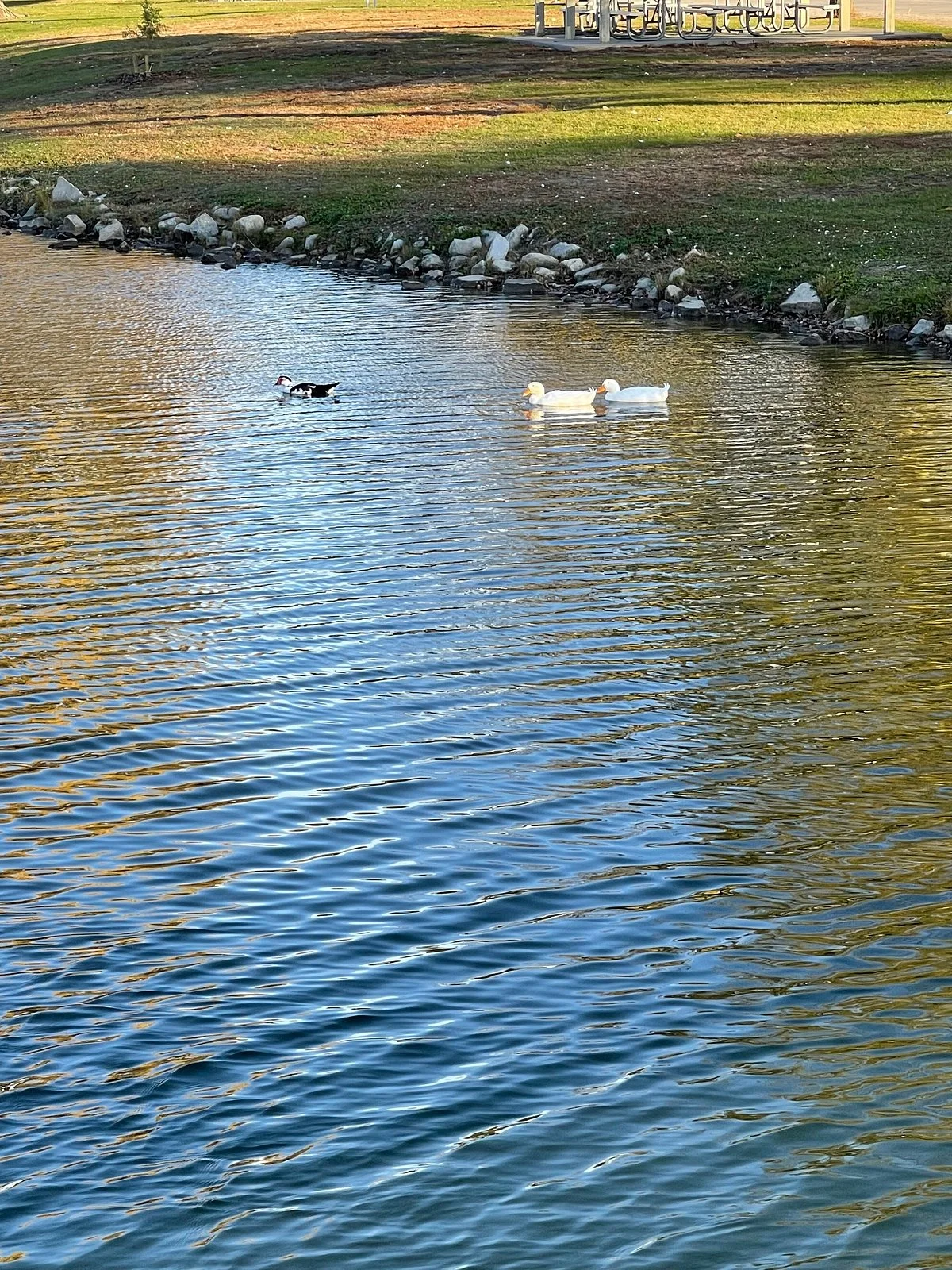 Ta-Ha-Zouka Park