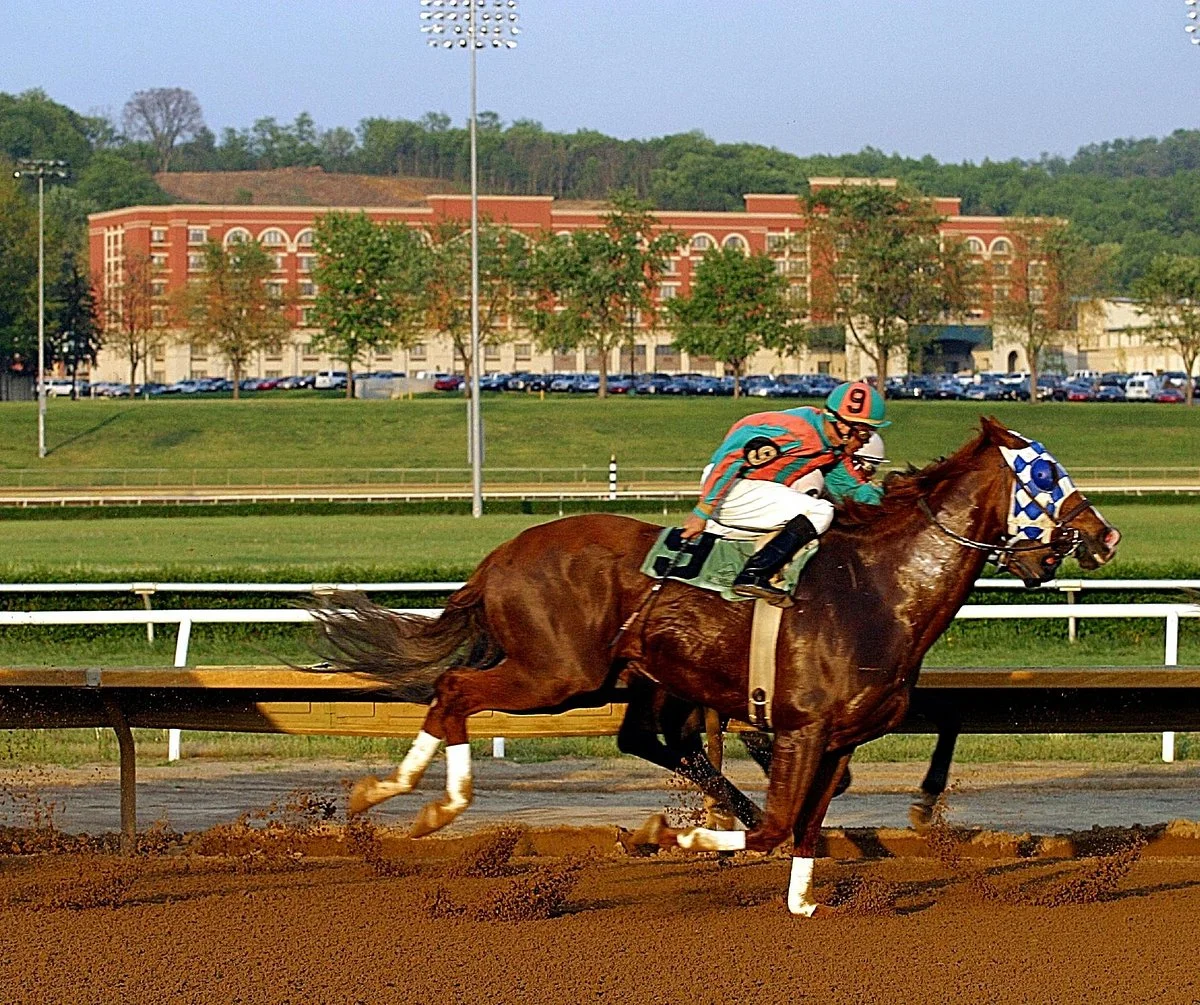 Mountaineer Casino
