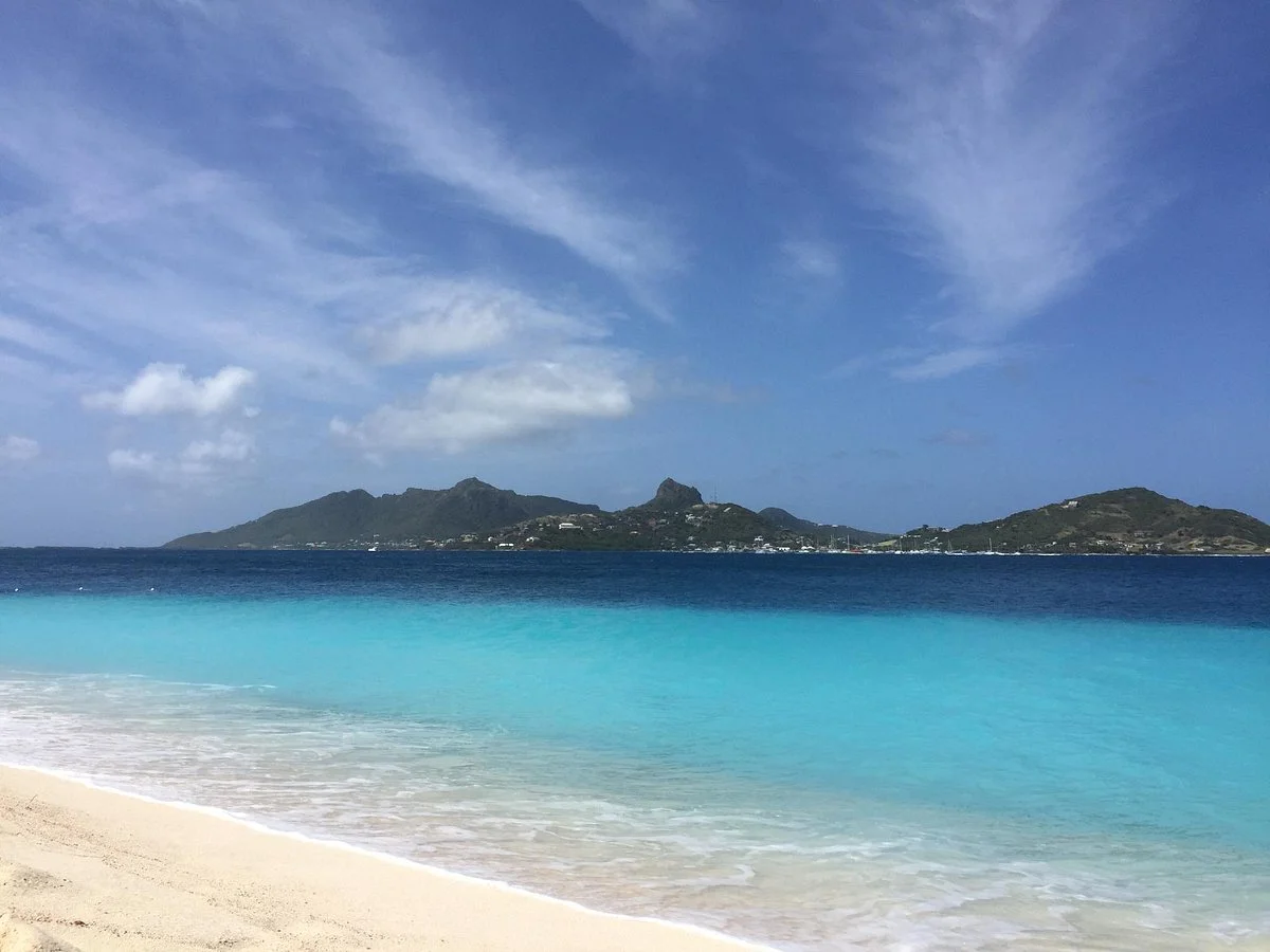 Palm Island