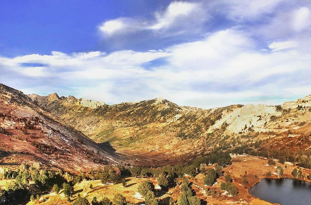 Humboldt National Forest