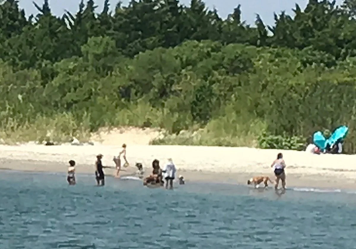 Fisherman's Cove Conservation Area