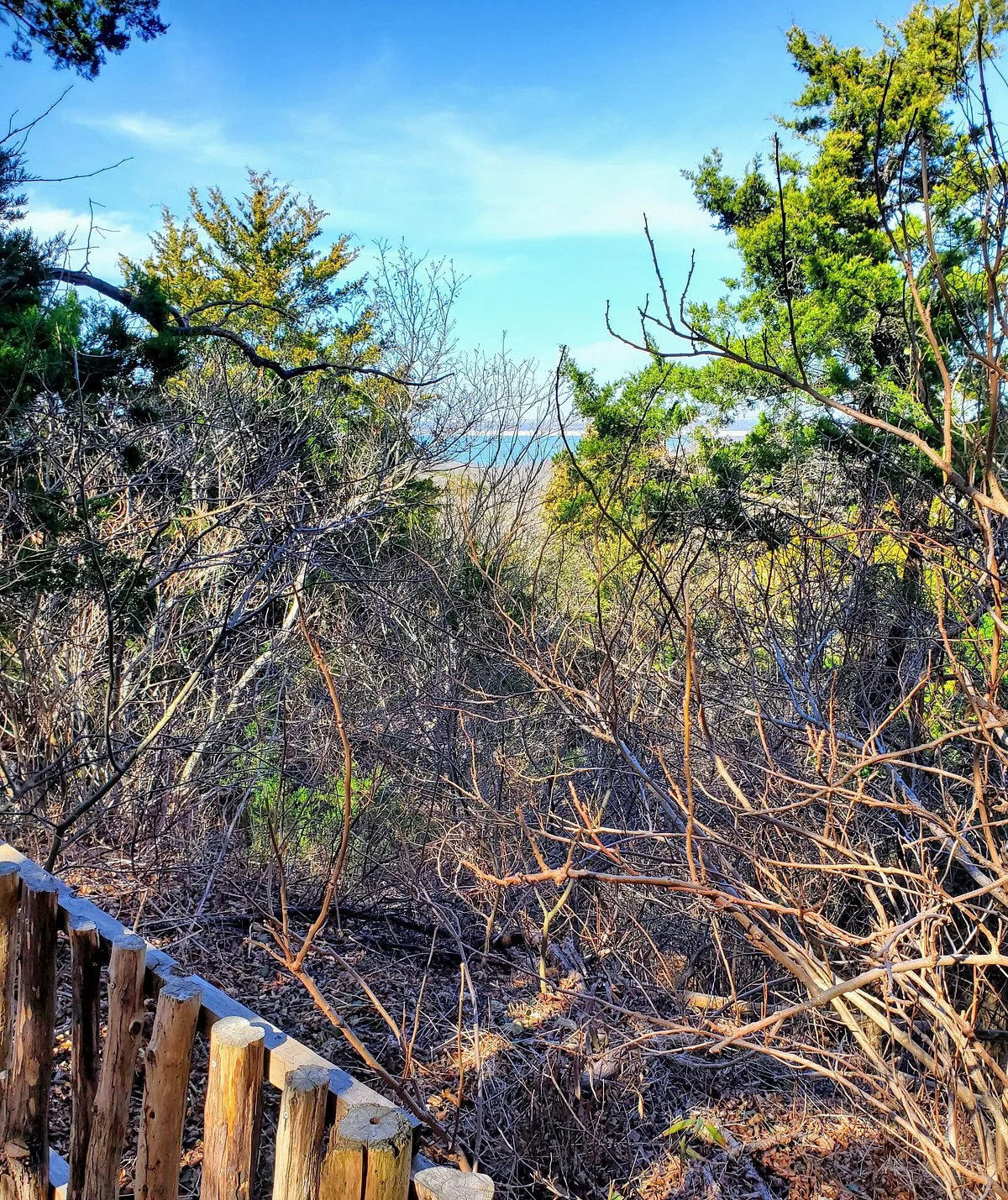 Dogwood Canyon Audubon Center at Cedar Hill