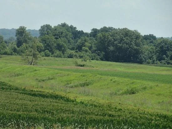 Mississippi Delta