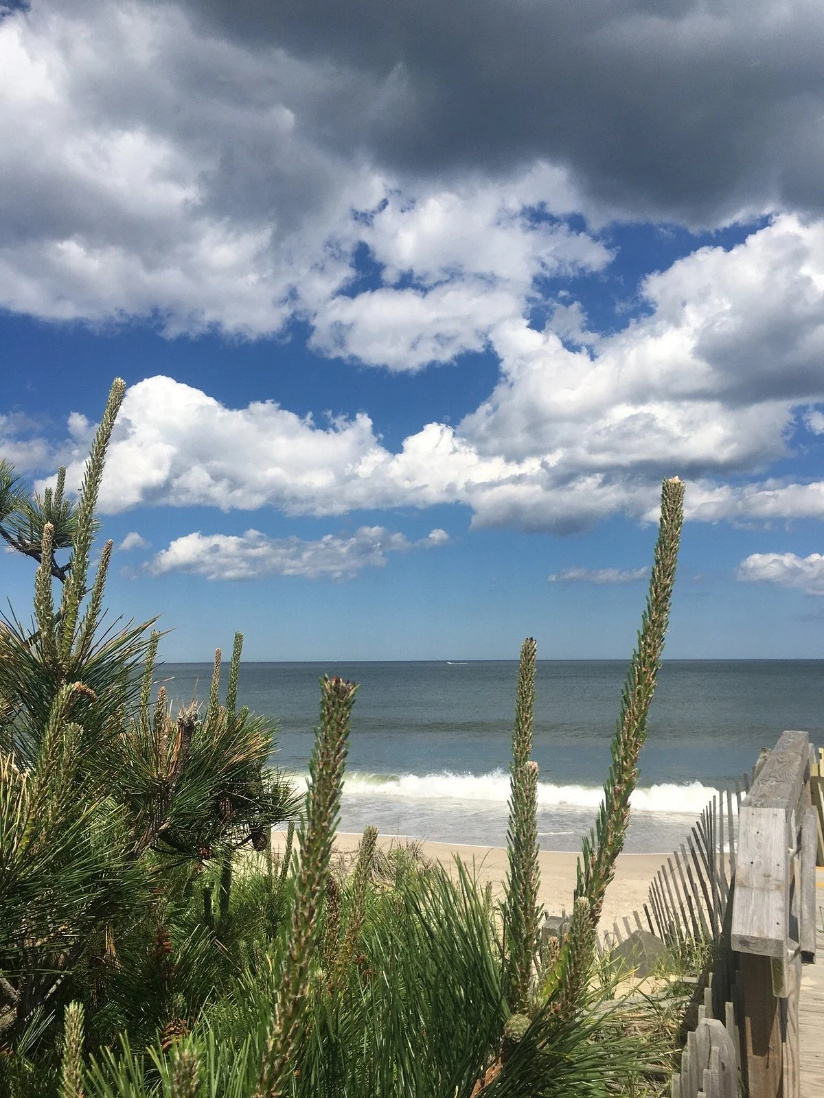 Bay Head Beach