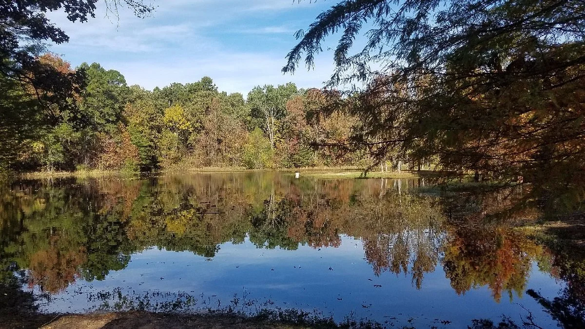 Lake Bob Sandlin State Park