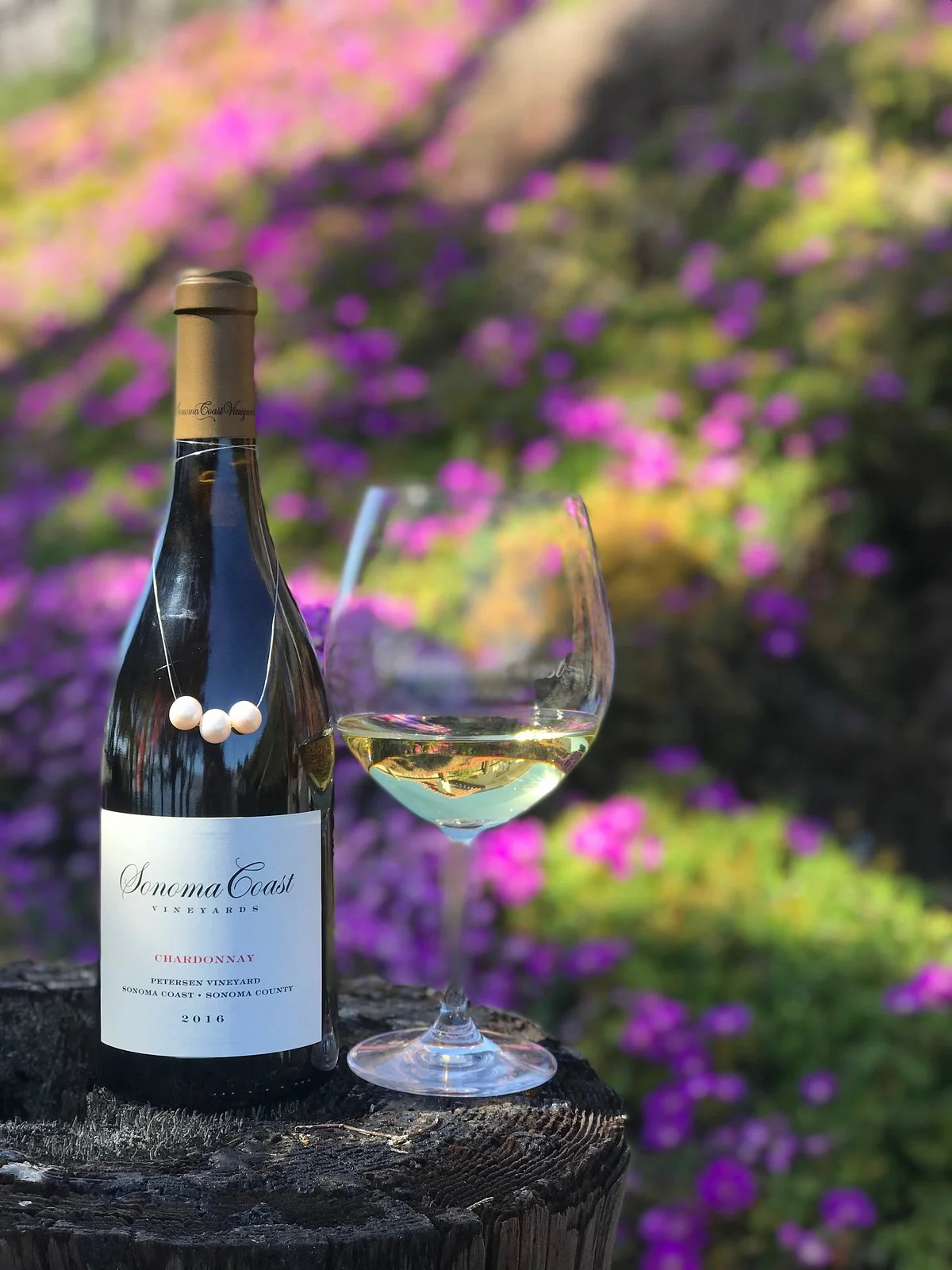 Sonoma Coast Vineyards