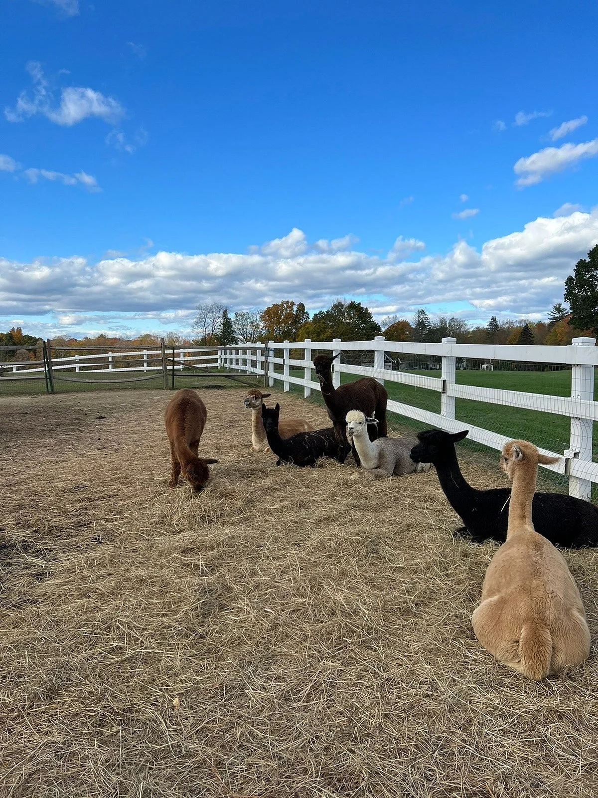 Luina Greine Farm
