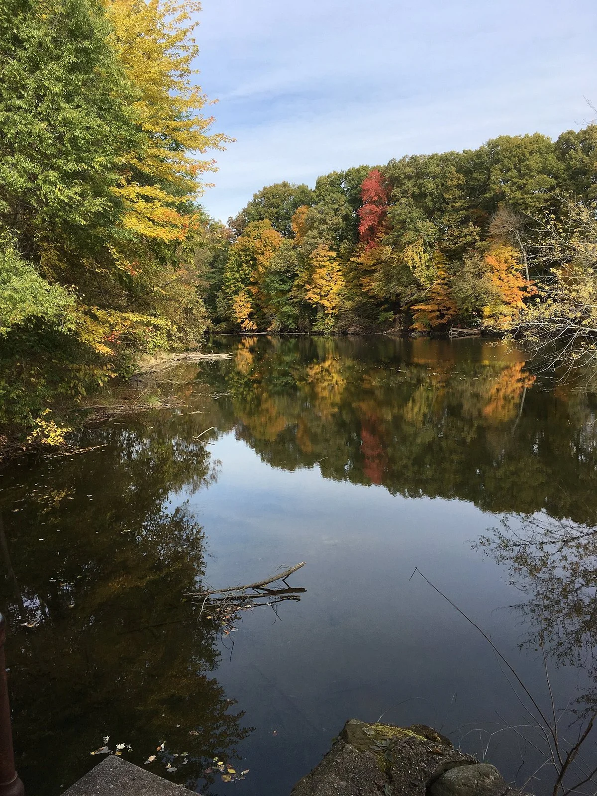 Fitzgerald Park
