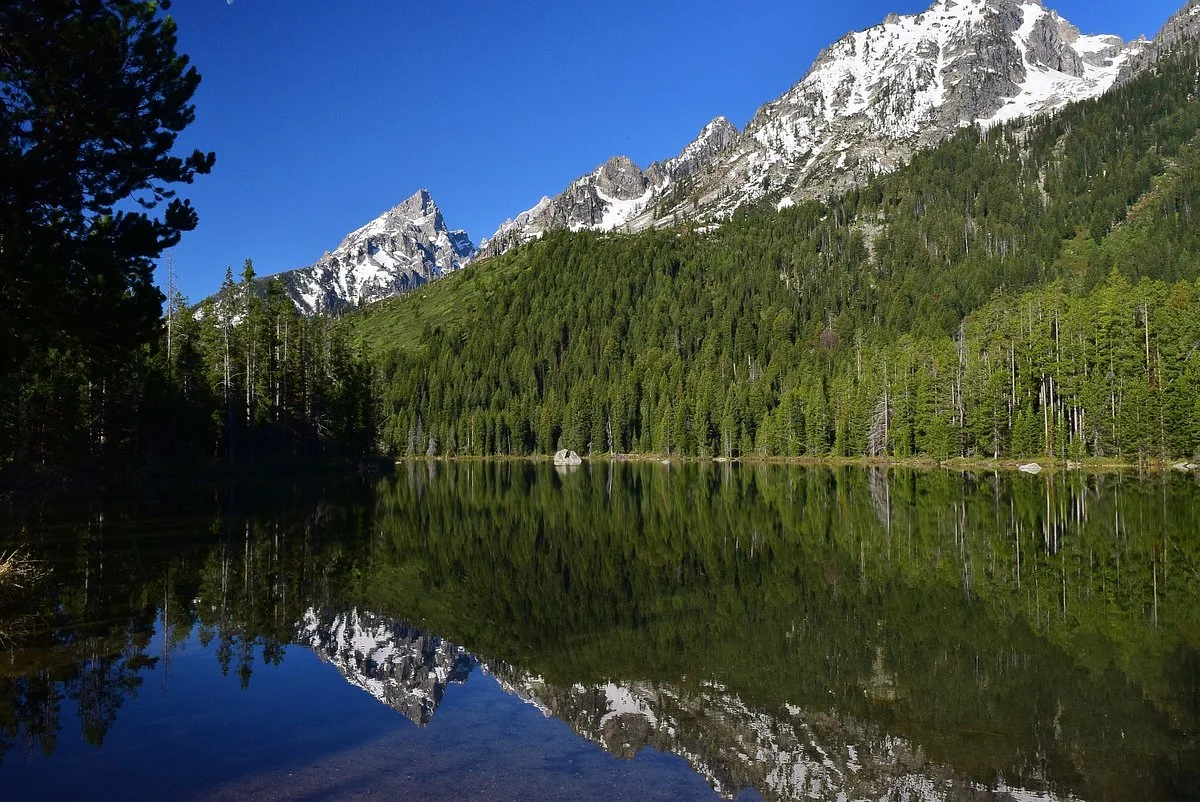 Cascade Canyon Trail