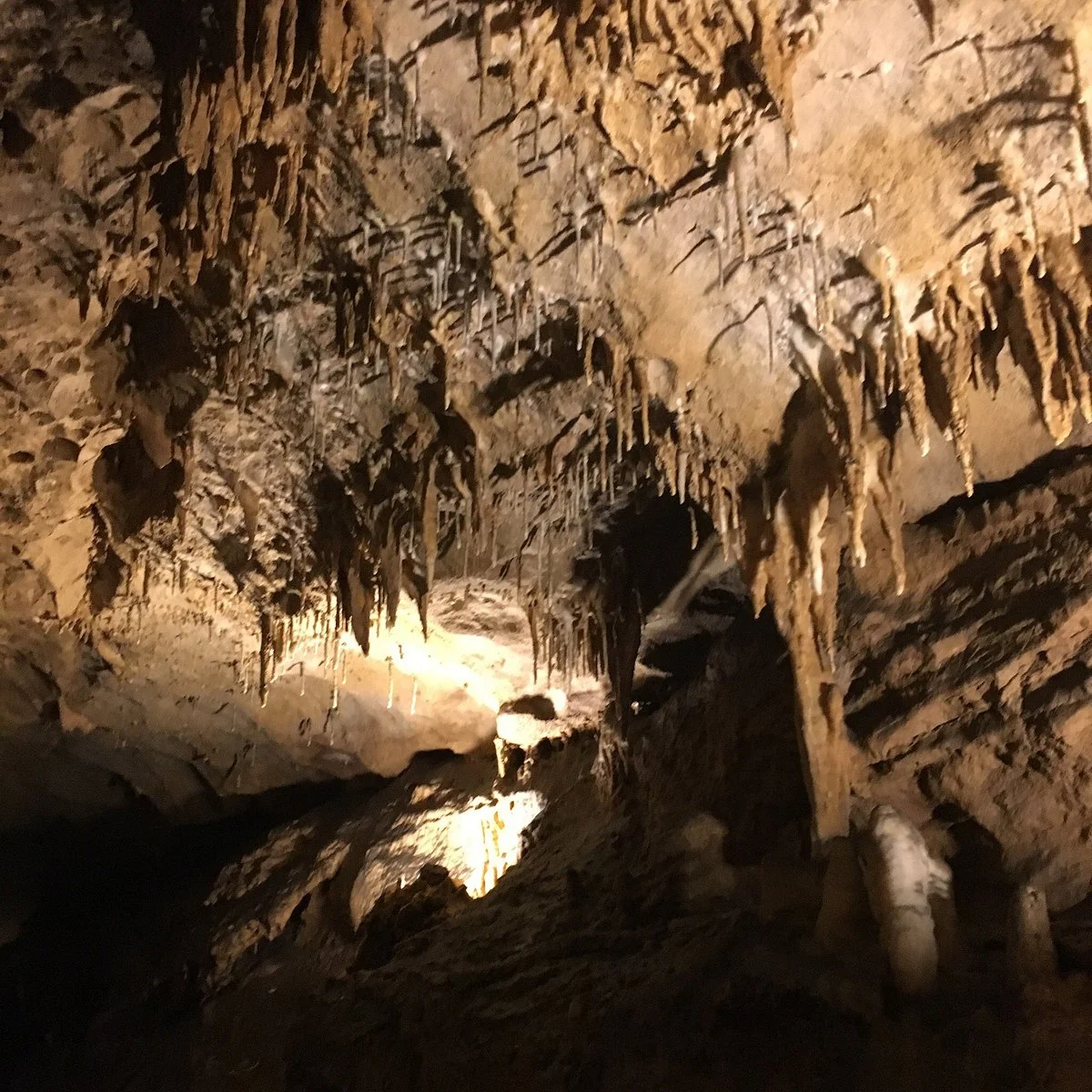 Marengo Cave