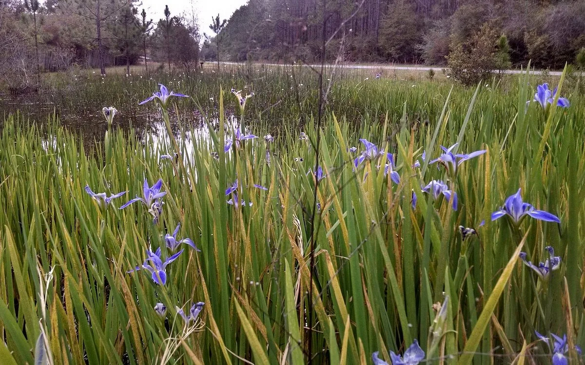 Blackwater Heritage State Trail