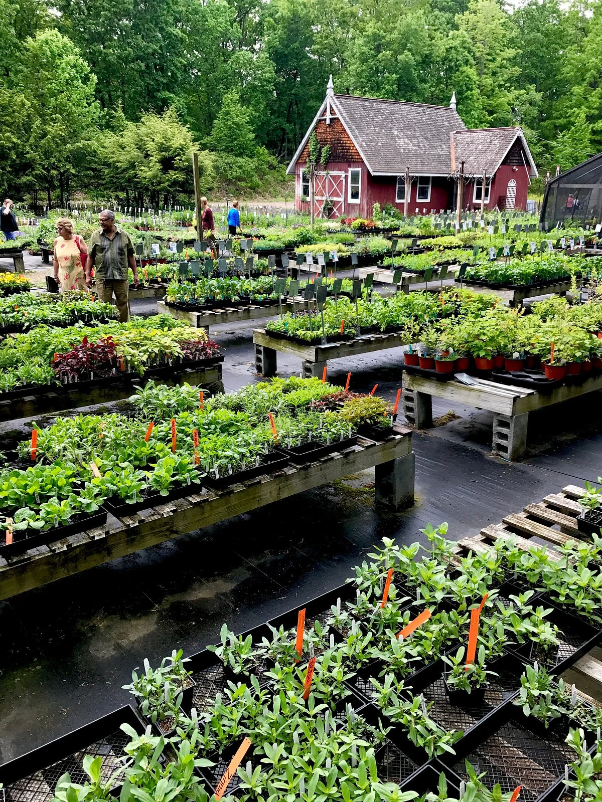 Northern Dutchess Botanical Gardens