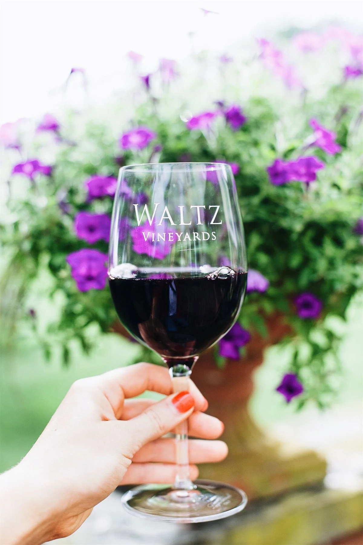 Waltz Vineyards