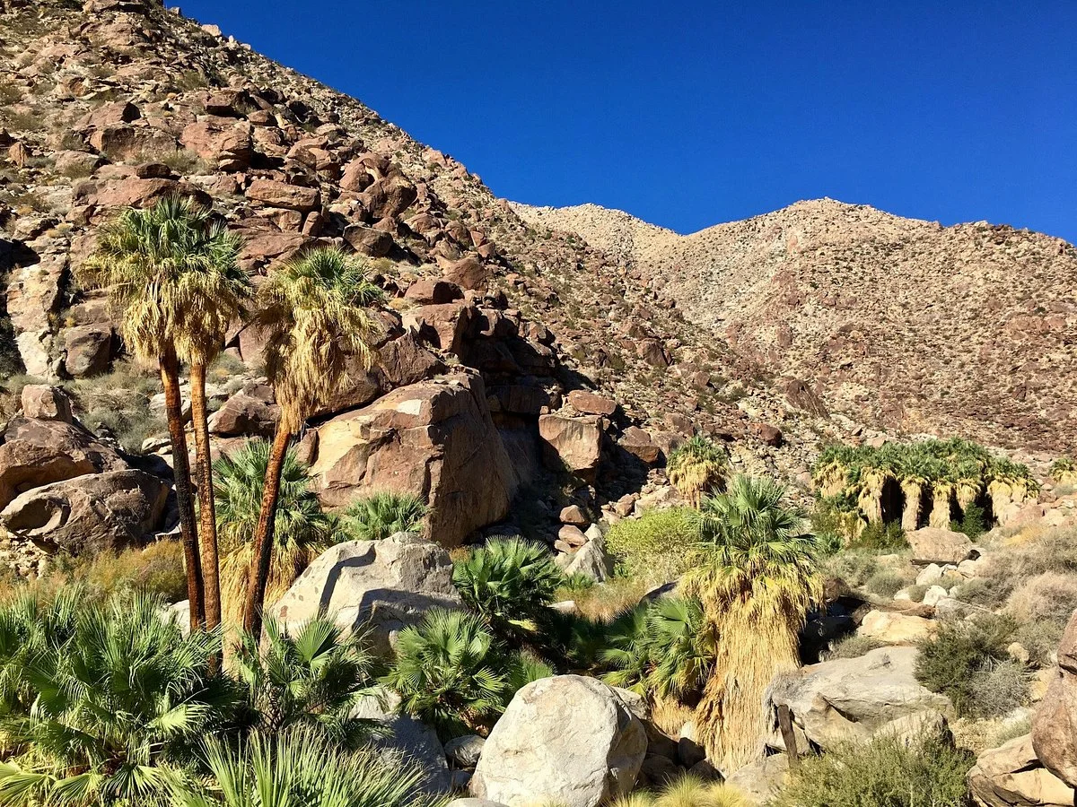 Borrego Palm Canyon Nature Trail