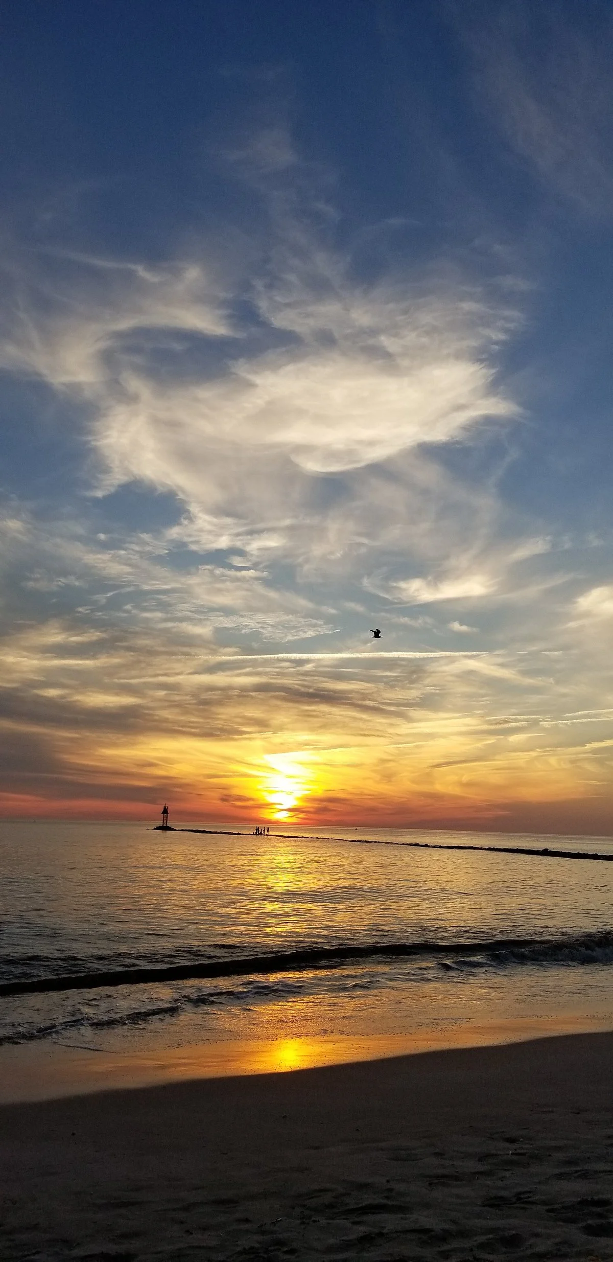Higbee Beach