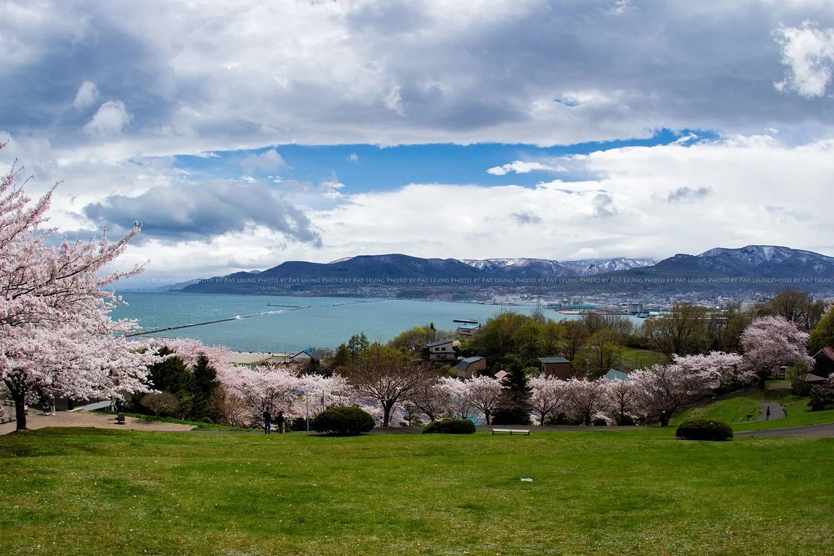 Temiya Park