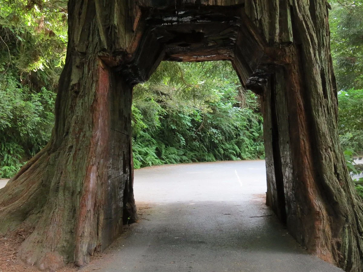 Tour-Through Tree