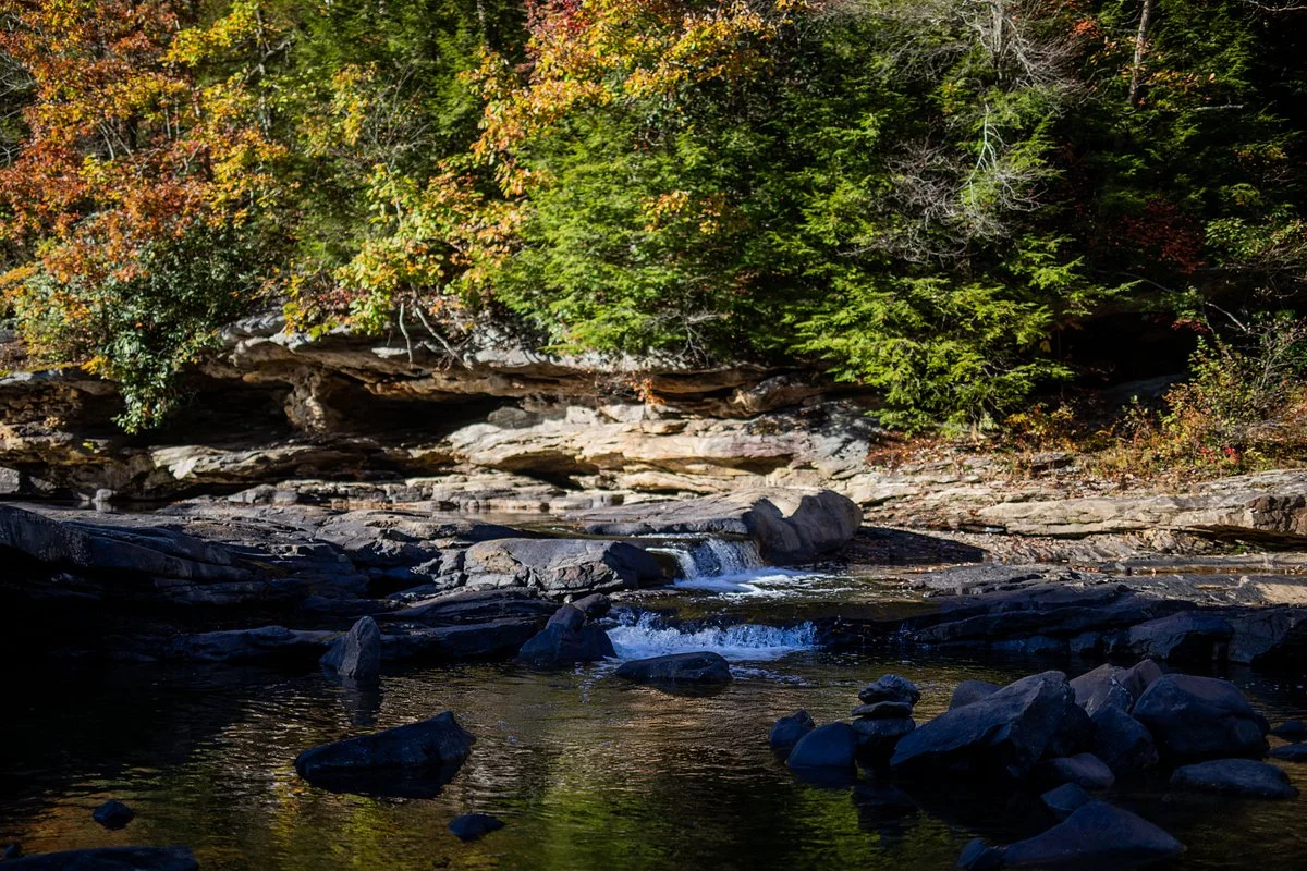 Audra State Park