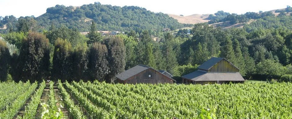 Reid Family Vineyards