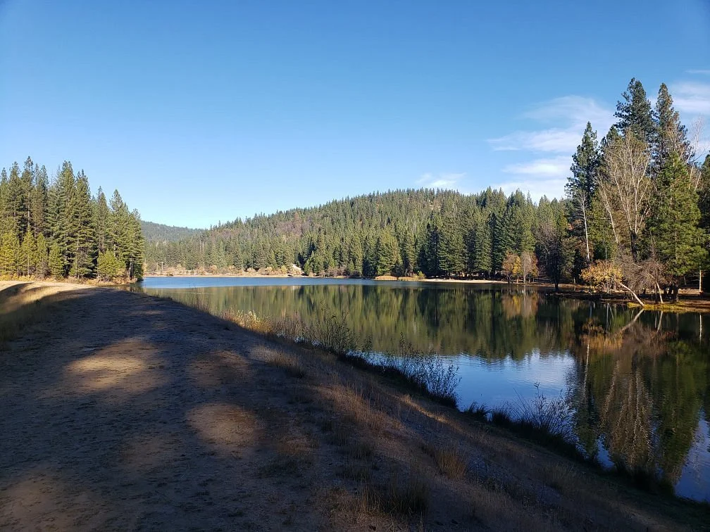 Sierra Nevada Logging Museum